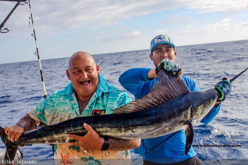 cabo-marlin-fishing.png.jpg - 125kB