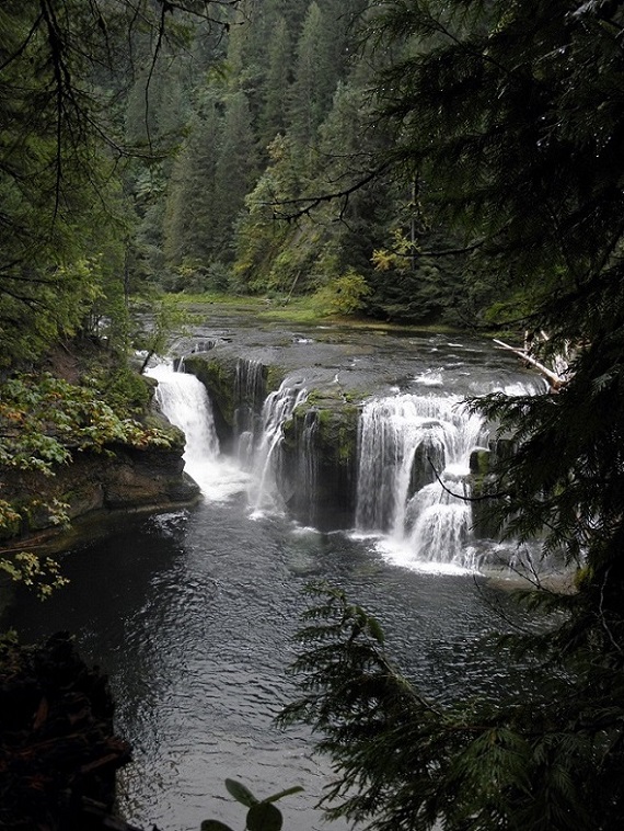 Waterfall, Washington State.jpg - 244kB