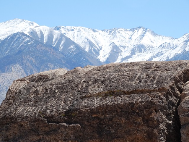 small petroglyphs and the White Mountains (Small).JPG - 150kB