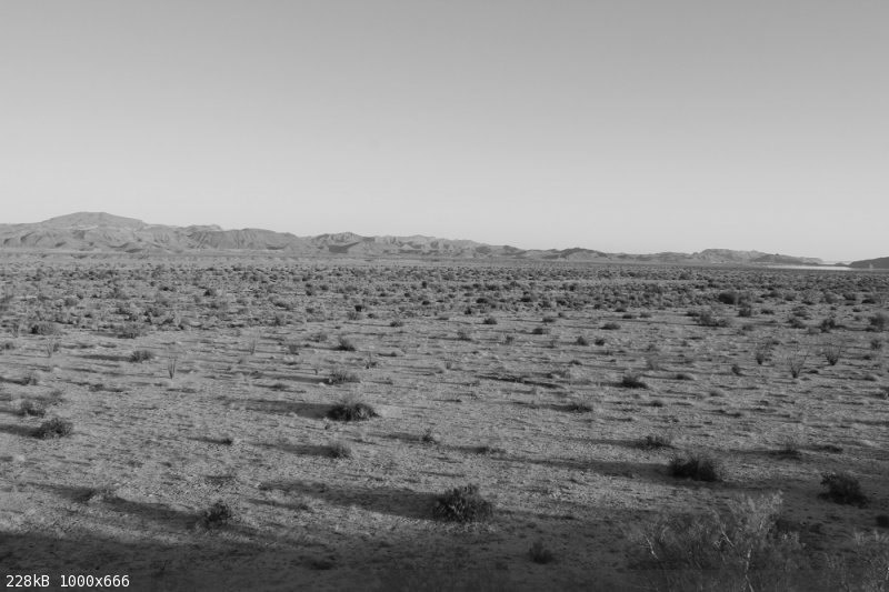 Last bw landscape.JPG - 228kB