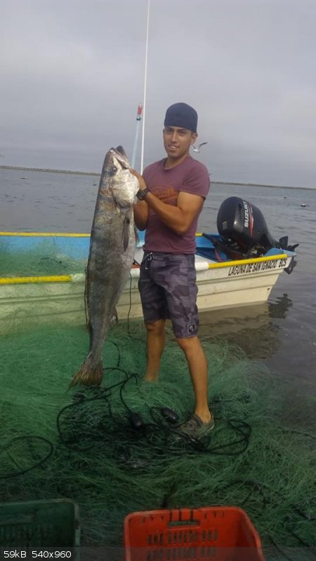 Ramiro fishing with his dad June 2017.jpg - 59kB