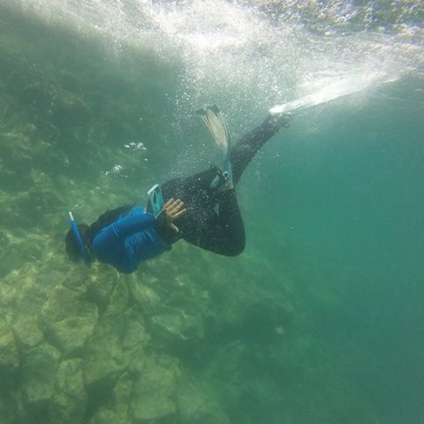 Clarissa diving May 2017.jpg - 32kB