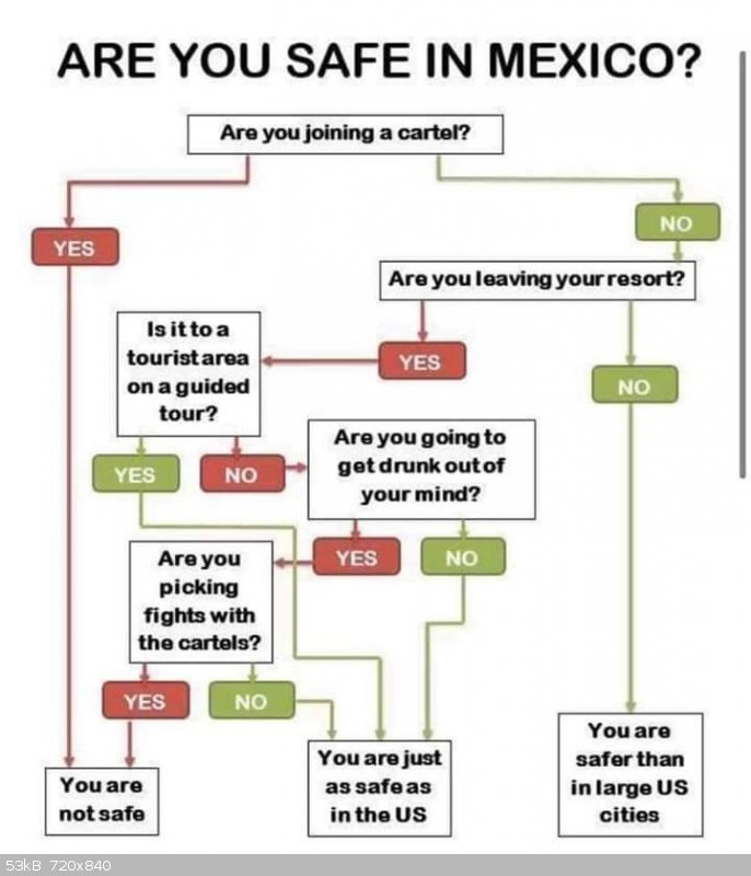Mexico Safe Flow Chart.jpg - 53kB