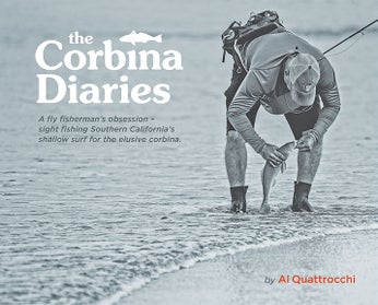 Corbina-Diaries-Cover.jpg - 23kB