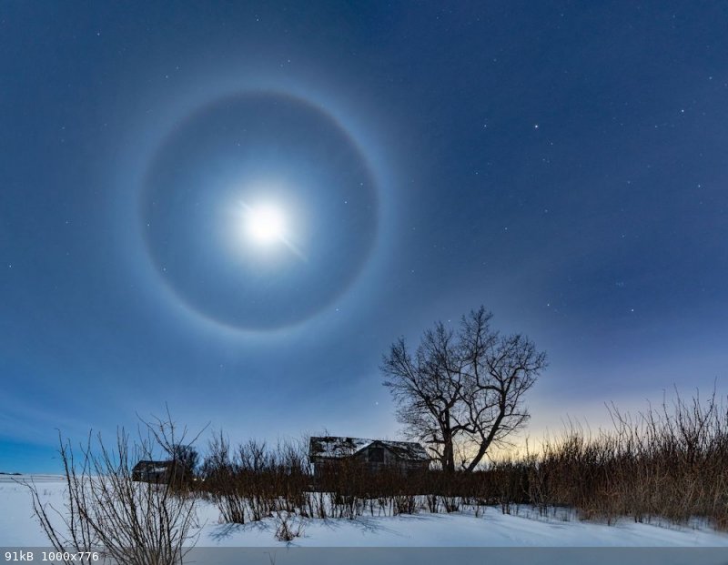 moon halo winter.jpeg - 91kB