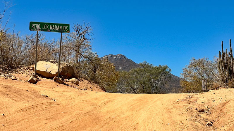 IMG_9962.JPG - 113kB IMG_9962.JPG - 113kB