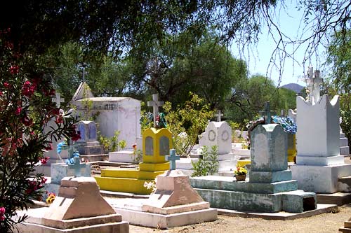 cactus-cemetery.jpg - 47kB