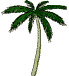 palm tree dance.gif - 10kB