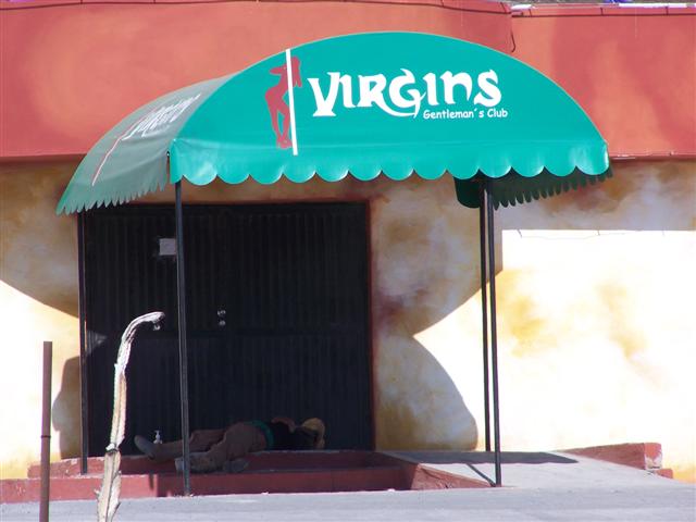virgins (Small).jpg - 39kB