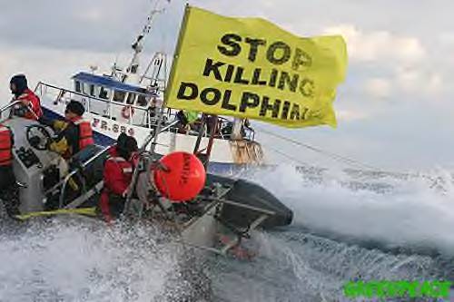 Save dolphin.jpg - 30kB