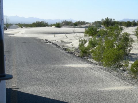 dune.jpg - 44kB
