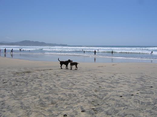 Chazz and Nena at Cerritos Beach.jpg - 38kB