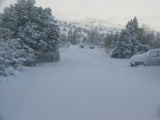 Front yard snow.jpg - 23kB