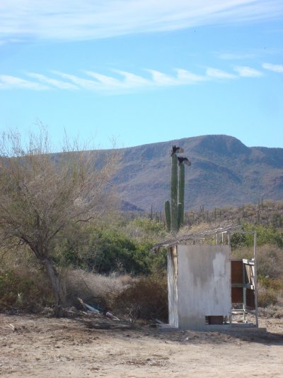 outhouse.jpg - 41kB