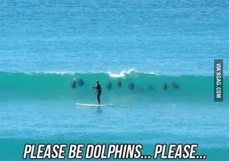 please be dolphins.jpg - 39kB